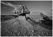 Pedestal petrified log and badlands, late afternoon. Theodore Roosevelt  National Park ( black and white)