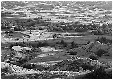 Prairie, trees, and badlands, Boicourt overlook, South Unit. Theodore Roosevelt National Park ( black and white)