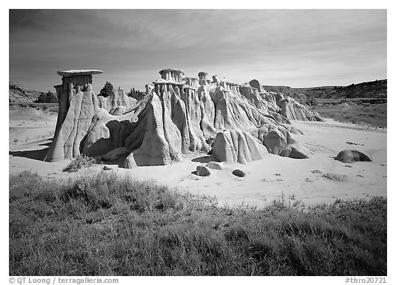 Mushroom pedestal formations, South Unit. Theodore Roosevelt  National Park (black and white)