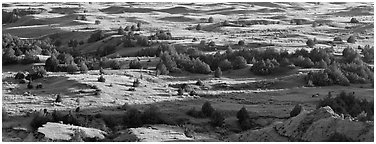 Landscape of prairie, badlands, and trees. Theodore Roosevelt  National Park (Panoramic black and white)