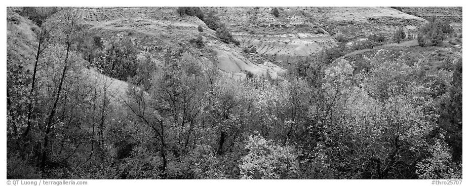 Badlands landscape in autumn. Theodore Roosevelt  National Park (black and white)