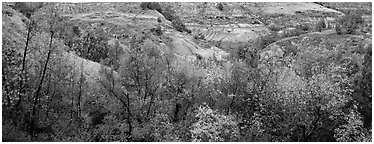 Badlands landscape in autumn. Theodore Roosevelt  National Park (Panoramic black and white)