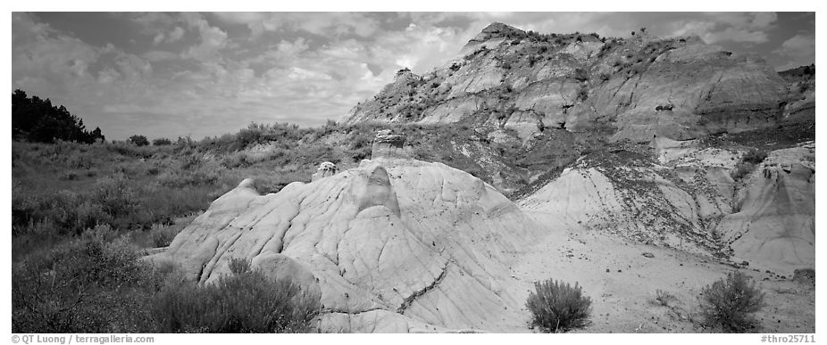 Multi-colored badland scenery. Theodore Roosevelt  National Park (black and white)