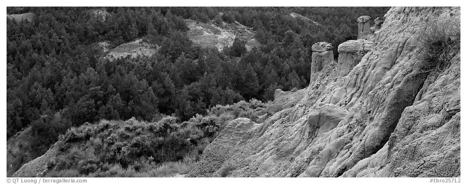 Badlands, caprock chimneys, and forest. Theodore Roosevelt National Park (black and white)