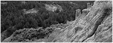 Badlands, caprock chimneys, and forest. Theodore Roosevelt National Park (Panoramic black and white)