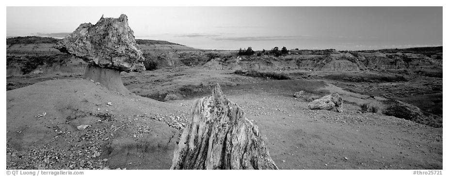 Petrified wood in badlands landscape. Theodore Roosevelt National Park (black and white)