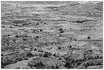 Painted Canyon. Theodore Roosevelt National Park, North Dakota, USA. (black and white)