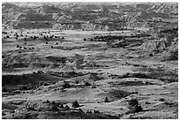 Grasslands and badlands, Painted Canyon. Theodore Roosevelt National Park, North Dakota, USA. (black and white)