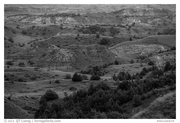 Sunset light over North Dakota badlands. Theodore Roosevelt National Park (black and white)