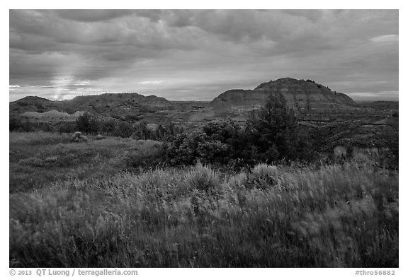 Sunset over grasses and badlands. Theodore Roosevelt National Park, North Dakota, USA.