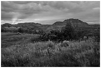 Sunset over grasses and badlands. Theodore Roosevelt National Park, North Dakota, USA. (black and white)