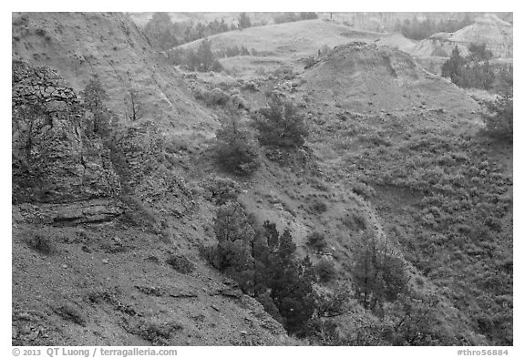 Red soil, Scoria Point. Theodore Roosevelt National Park, North Dakota, USA.