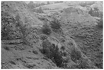 Red soil, Scoria Point. Theodore Roosevelt National Park ( black and white)