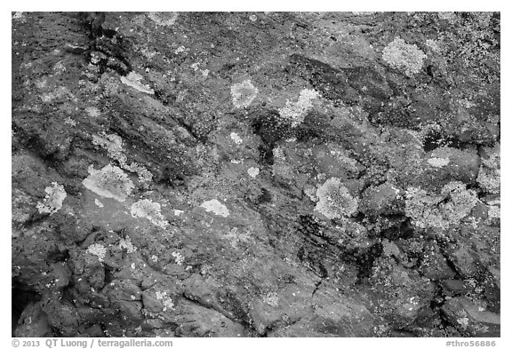 Close-up of red rocks with lichen. Theodore Roosevelt National Park (black and white)