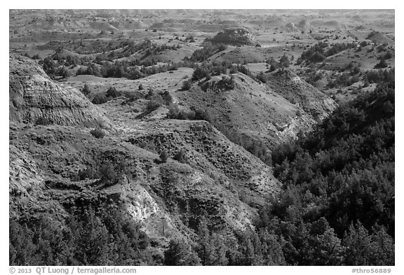 Vegetation-covered buttes. Theodore Roosevelt National Park (black and white)