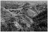 Vegetation-covered buttes. Theodore Roosevelt National Park ( black and white)