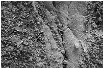 Close-up of clinker and clay. Theodore Roosevelt National Park, North Dakota, USA. (black and white)