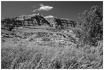 Grasses, cottonwood, and colorful badlands. Theodore Roosevelt National Park, North Dakota, USA. (black and white)