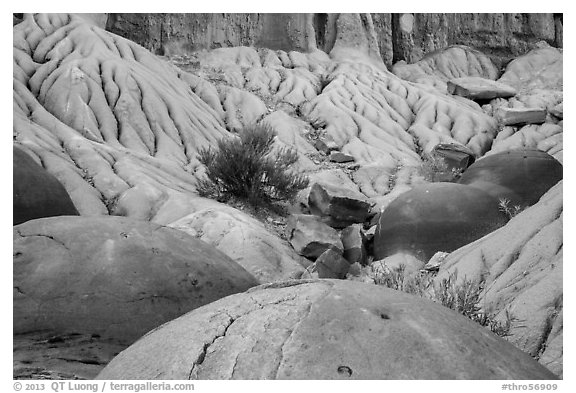 Cannonball concretions on badland folds. Theodore Roosevelt National Park, North Dakota, USA.