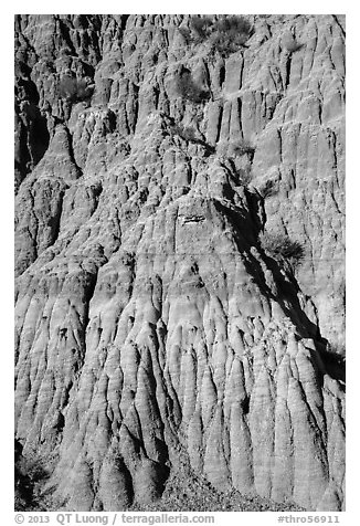 Wall with pillars. Theodore Roosevelt National Park, North Dakota, USA.