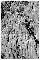 Wall with pillars. Theodore Roosevelt National Park, North Dakota, USA. (black and white)