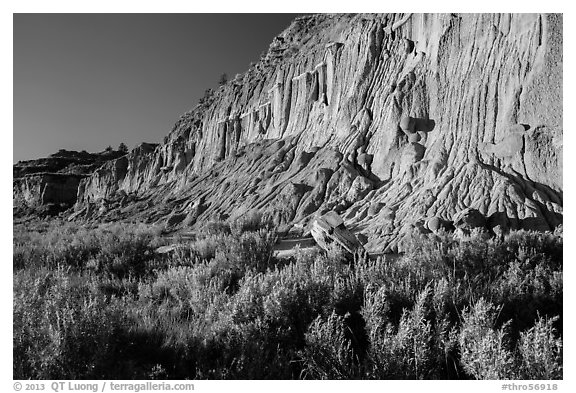 Grasses and cliff with cannonball concretions. Theodore Roosevelt National Park (black and white)