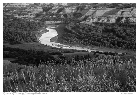 Grasses, Little Missouri river bend and badlands. Theodore Roosevelt National Park (black and white)