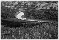 Grasses, Little Missouri river bend and badlands. Theodore Roosevelt National Park, North Dakota, USA. (black and white)