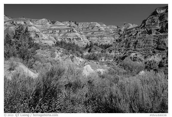 Summer vegetation and multi-colored badlands. Theodore Roosevelt National Park, North Dakota, USA.