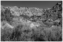 Summer vegetation and multi-colored badlands. Theodore Roosevelt National Park, North Dakota, USA. (black and white)