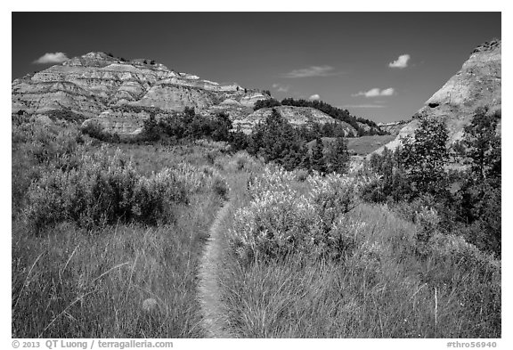 Caprock coulee trail. Theodore Roosevelt National Park (black and white)