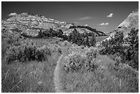 Caprock coulee trail. Theodore Roosevelt National Park, North Dakota, USA. (black and white)