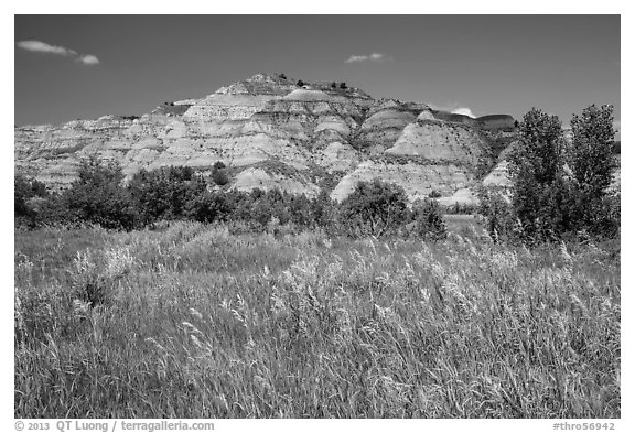 Summer prairie and badlands. Theodore Roosevelt National Park, North Dakota, USA.