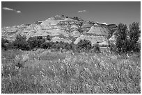 Summer prairie and badlands. Theodore Roosevelt National Park, North Dakota, USA. (black and white)