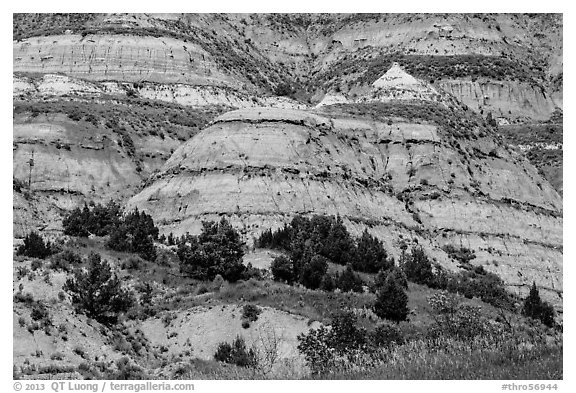 Badlands strata. Theodore Roosevelt National Park, North Dakota, USA.