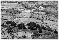 Badlands strata. Theodore Roosevelt National Park, North Dakota, USA. (black and white)