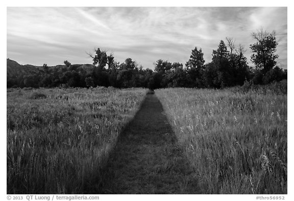 Trail through grasses, Elkhorn Ranch Unit. Theodore Roosevelt National Park, North Dakota, USA.