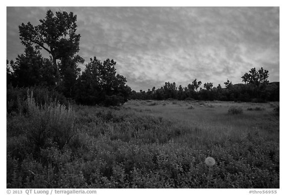 Meadow and colorful sunset clouds, Elkhorn Ranch Unit. Theodore Roosevelt National Park, North Dakota, USA.