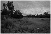 Meadow and colorful sunset clouds, Elkhorn Ranch Unit. Theodore Roosevelt National Park, North Dakota, USA. (black and white)
