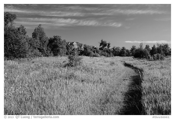 Trail through meadow, cottowoods and distant badlands, Elkhorn Ranch Unit. Theodore Roosevelt National Park, North Dakota, USA.