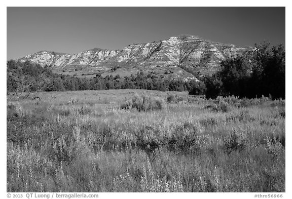 View from Roosevelt Elkhorn Ranch site. Theodore Roosevelt National Park, North Dakota, USA.