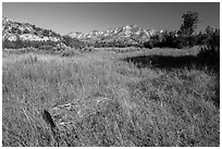 Roosevelt Elkhorn Ranch site with foundation stone. Theodore Roosevelt National Park, North Dakota, USA. (black and white)