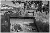 Roosevelt Elkhorn Ranch site interpretative sign. Theodore Roosevelt National Park, North Dakota, USA. (black and white)