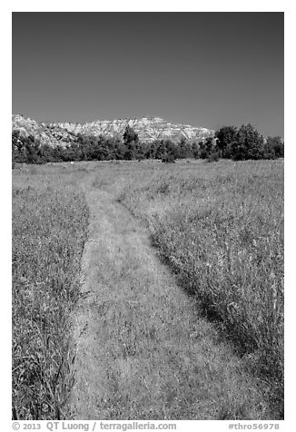 Grassy faint trail and badlands, Elkhorn Ranch Unit. Theodore Roosevelt National Park, North Dakota, USA.
