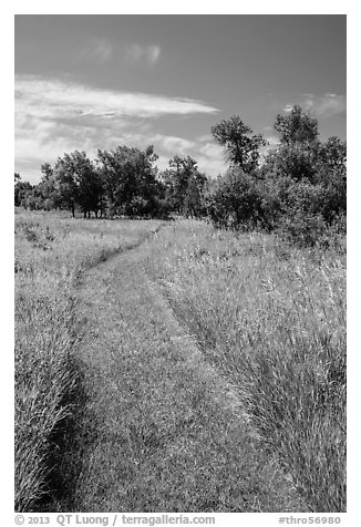 Soft grass-covered trail, Elkhorn Ranch Unit. Theodore Roosevelt National Park (black and white)