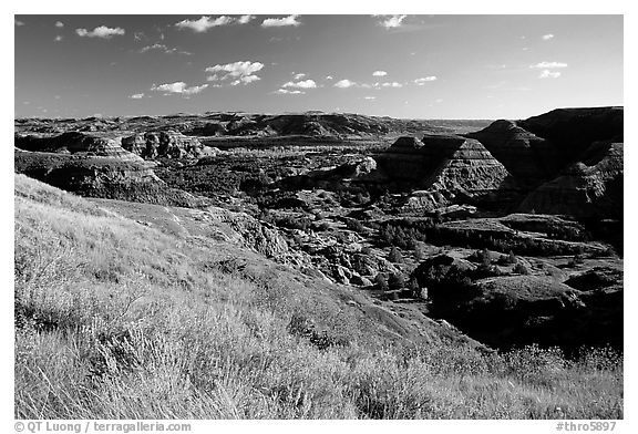 Forested Badlands. Theodore Roosevelt National Park, North Dakota, USA.