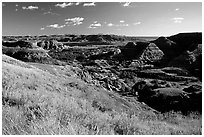 Forested Badlands. Theodore Roosevelt National Park, North Dakota, USA. (black and white)