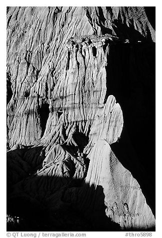 Clay erosion formations. Theodore Roosevelt National Park (black and white)