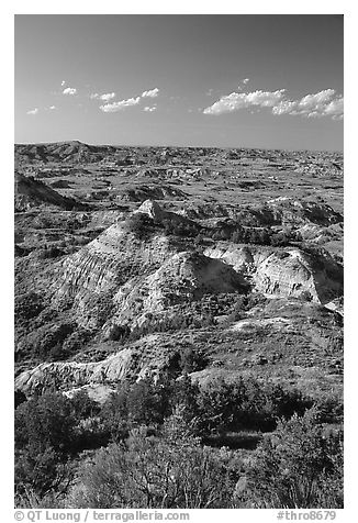 Painted Canyon, late afternoon. Theodore Roosevelt National Park (black and white)