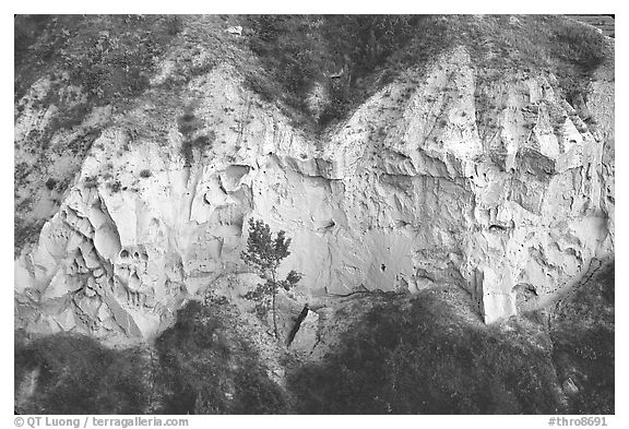 Wind Canyon walls. Theodore Roosevelt National Park, North Dakota, USA.